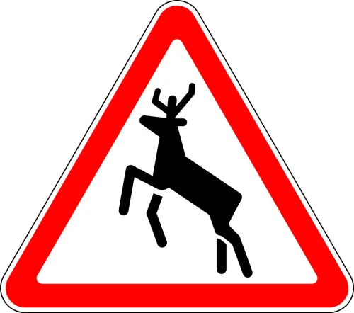 1.25 Дикие животные